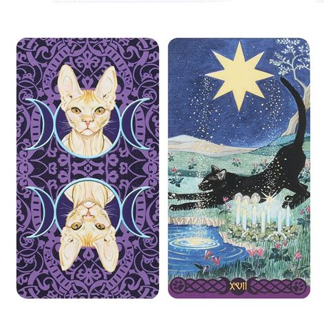 Feline Alchemy: Unraveling the Esoteric Symbolism in a Tarot Deck of Pagan Cats